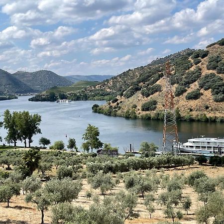 Douro Visit House Villa Torre De Moncorvo Luaran gambar