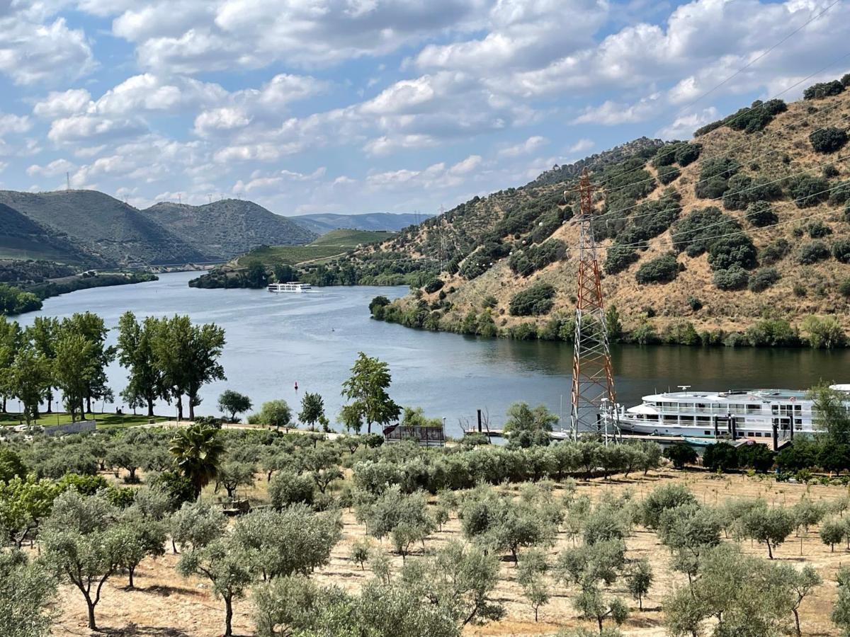 Douro Visit House Villa Torre De Moncorvo Luaran gambar